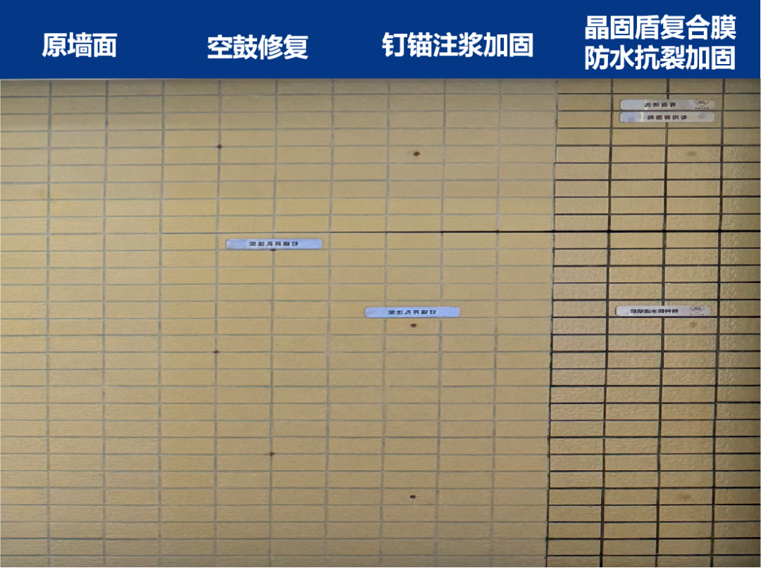 6.png 6.png